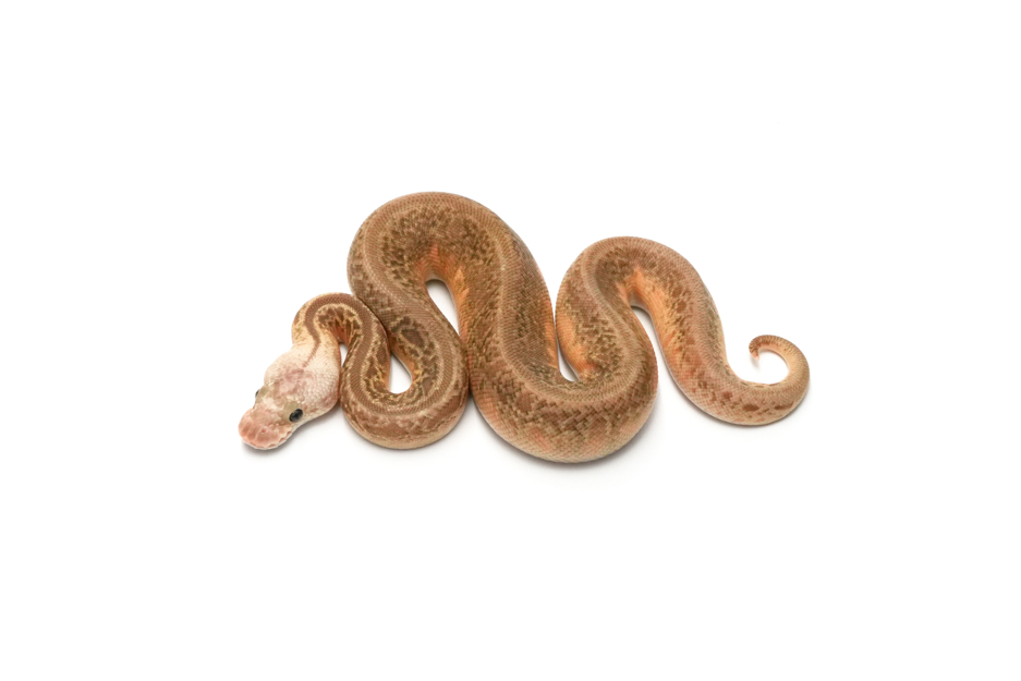 Pastel Sunset Batman