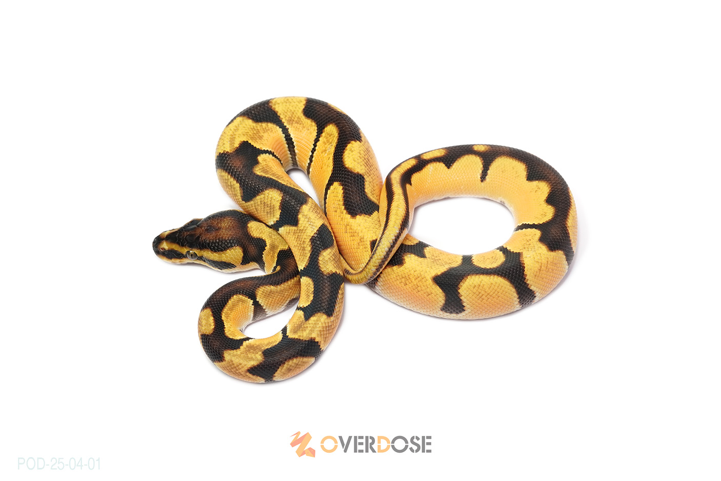 Super OD Enchi